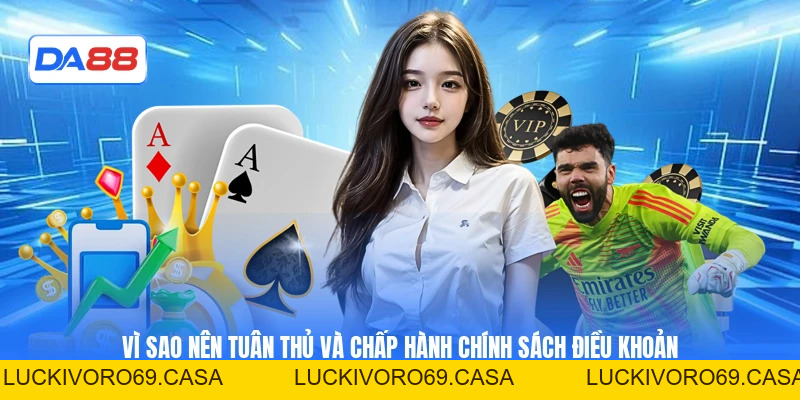 Điều Khoản Và Điều Kiện - Cập Nhật Nội Dung Hữu Ích 2026